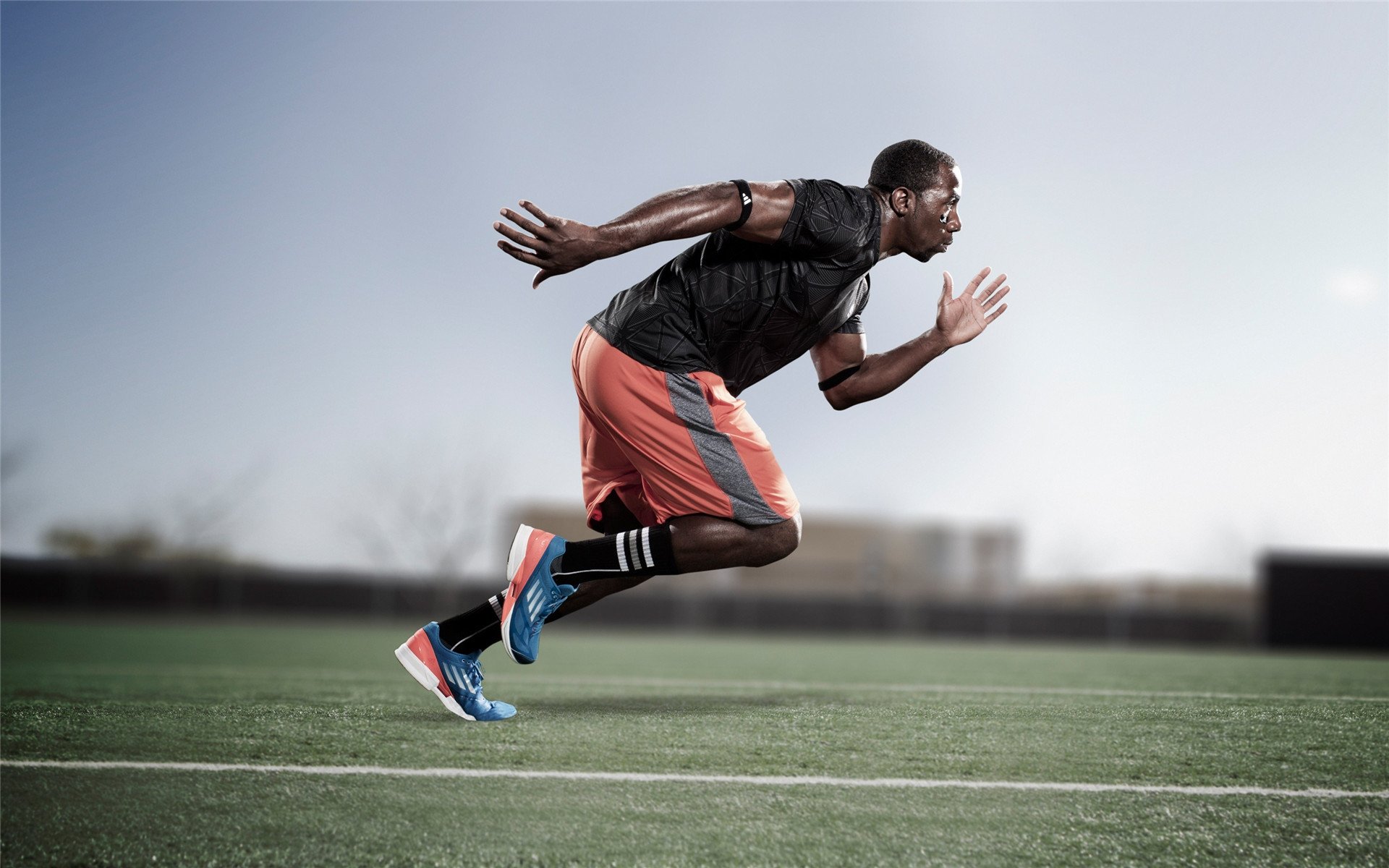 国际健美比赛,展现雕塑般的身材之巅,国际健美大赛视频